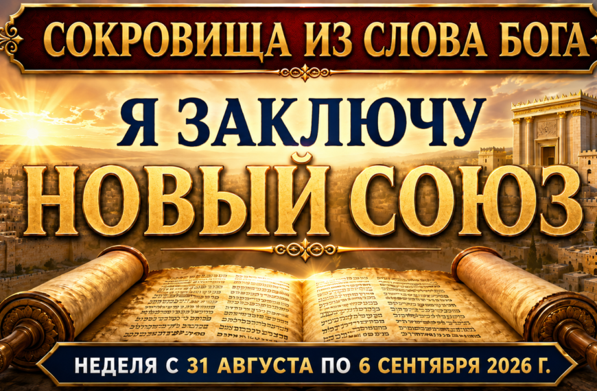 Tesoros de la biblia del 31 de agosto al 6 de septiembre